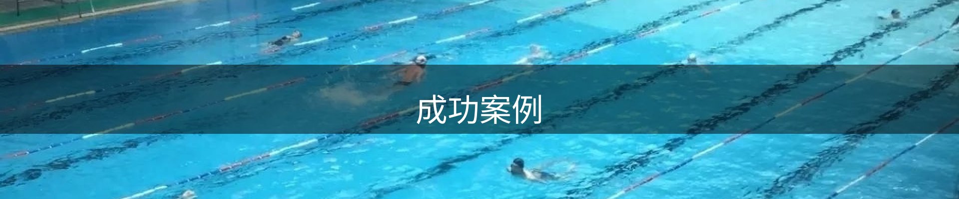 成功案例